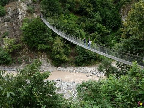  - Image 2
